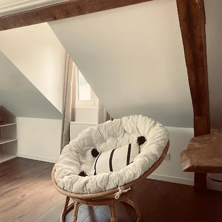 公寓 T3 Kokon Lumineux & Chaleureux, Parking, Climatisation