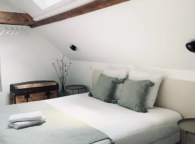 T3 Kokon Lumineux & Chaleureux, Parking, Climatisation * Bagnères-de-Bigorre